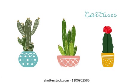 Set of three cactuses in the pots. Vector illustration.