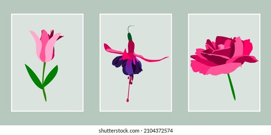 set of three cards with a rose, a fuchsia and a tulip