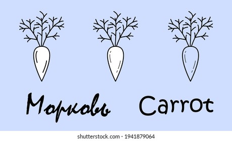 A set of three carrot objects with the inscription "carrot" in Russian and English. Simple vector illustration, eps