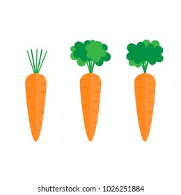 Set Of Three Carrots With Green Leaves. Sweet Vegetable, Orange Carrot With Tops, Stalks. Carrot Vector Graphic Illustration.