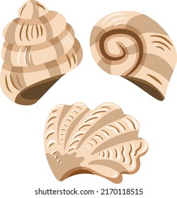 Conjunto de tres conchas estilo caricatura aisladas en fondo blanco