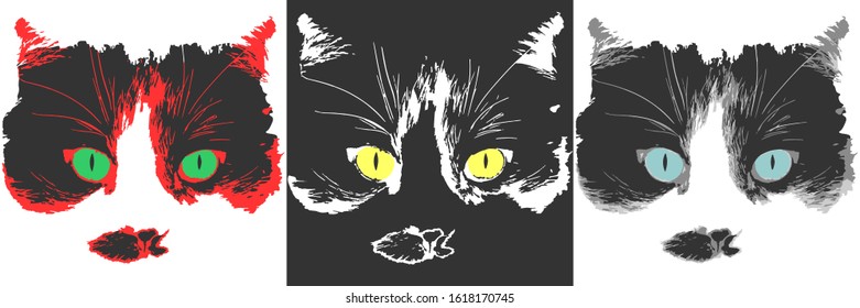Set of three cat images. Cat eyes. Banner. Vector illustration
