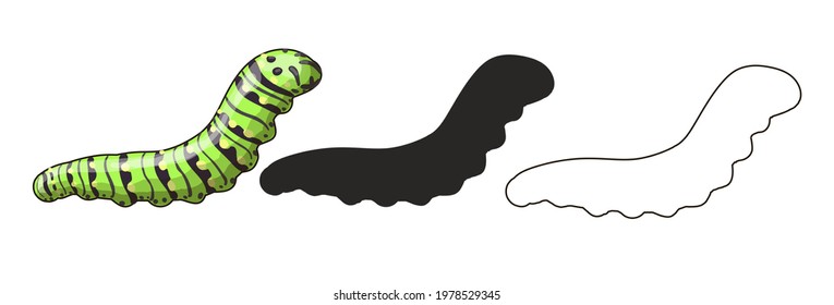 A set of three caterpillars in a cartoon style and a black silhouette. Caterpillar Black Swallowtail - it is green with black stripes and yellow dots. Stock vector illustration isolated on white   

