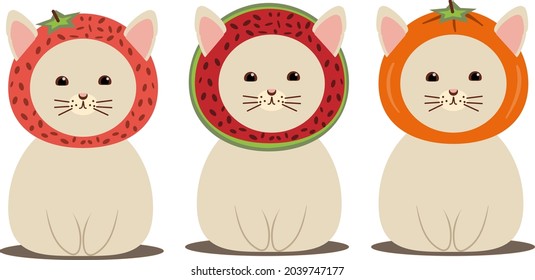 Set of three cats in hats