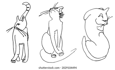 Satz von drei linearen Bildern von Katzen
