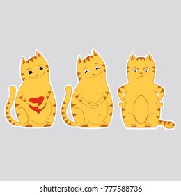 A set of three cats, lover, angry, funny.