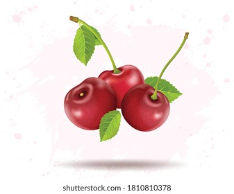 Set of three cherries fruit vector illustration 