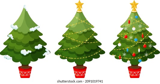 A set of three Christmas trees in a tub before and after decoration. Fir tree in the snow, with a garland, with Christmas balls, a star, lights are isolated on a white background. Vector illustration