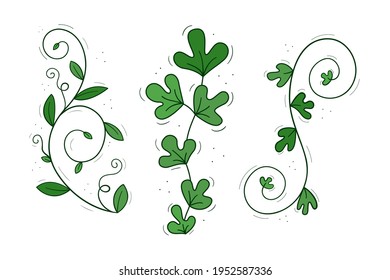 A set of three climbing green plants. Colored isolated doodle objects on a white.