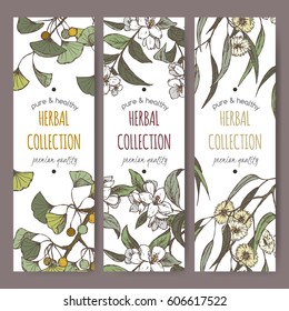 Set of three color vector herbal tea labels with Ginkgo biloba, jasmine and eucalyptus hand drawn sketch. Placed on white background.