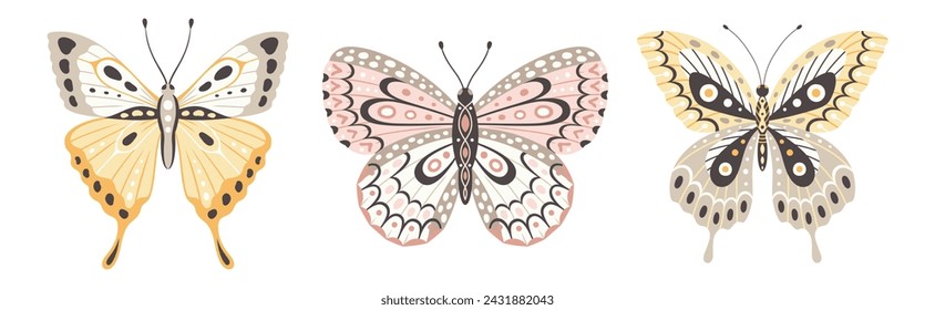Set of three colorful butterflies, vector illustration. Fly insect wings with abstract ornament, front view, a symbol for tattoo design. Summer background