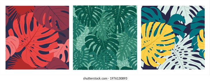 Set of three colorful seamless patterns with jungle monstera plants, palm trees.