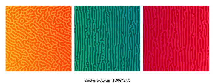Set of three colorful turing reaction gradient backgrounds. Abstract diffusion pattern with chaotic shapes. Vector illustration.