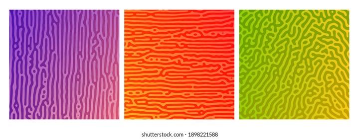 Set of three colorful turing reaction gradient backgrounds. Abstract diffusion pattern with chaotic shapes. Vector illustration.