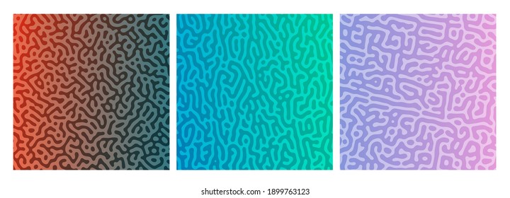 Set of three colorful turing reaction gradient backgrounds. Abstract diffusion pattern with chaotic shapes. Vector illustration.
