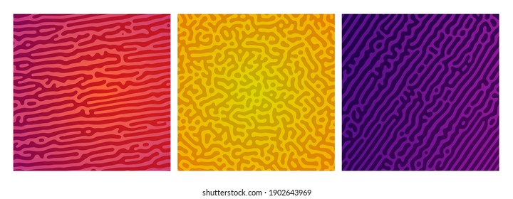 Set of three colorful turing reaction gradient backgrounds. Abstract diffusion pattern with chaotic shapes. Vector illustration.