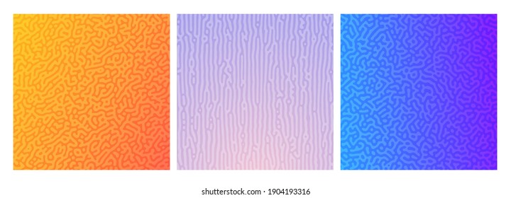 Set of three colorful turing reaction gradient backgrounds. Abstract diffusion pattern with chaotic shapes. Vector illustration.