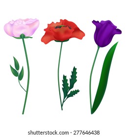Set of three colors painted in a realistic style can be used as decorative elements. Vector illustration
