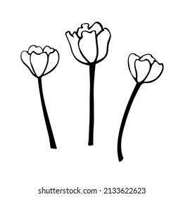 2,373 Tulip on stem outline Images, Stock Photos & Vectors | Shutterstock