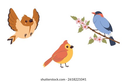 Set of three cute birds, including a flying bird, a perched one on a branch with blossoms, and a standing bird. Great for spring, kids' projects, and nature themes.
