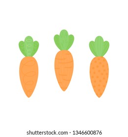 Set of three cute carrots with green leaves. Sweet vegetable, orange carrot with tops, stalks. Carrot vector graphic illustration, isolated.