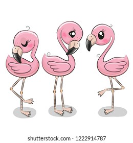 Set of three cute cartoon flamingos on a white background