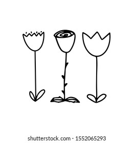 Set of three cute flowers two tulips and a rose. Vector doodle outline illustration isolated on white background. Desing for kinds print, coloring book, poster, card, t shirt, cup, packing desing,logo