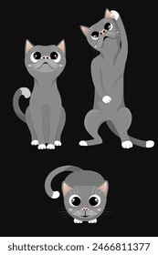 Conjunto de tres lindos gatos grises personaje de dibujos animados aislado en fondo oscuro. Un gatito sentado y mirando hacia arriba - vista frontal y superior, otro parado en patas traseras, jugando con algo.