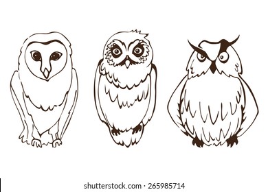 Set of three cute hand drawing owls. Contour isolated on white.