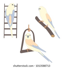 Set of three cute parrot birds sitting on branch and ladder. Bird Set 2. Flat Vector Illustration