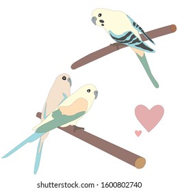 Set of three cute parrot birds sitting on branch. Flat Vector Illustration