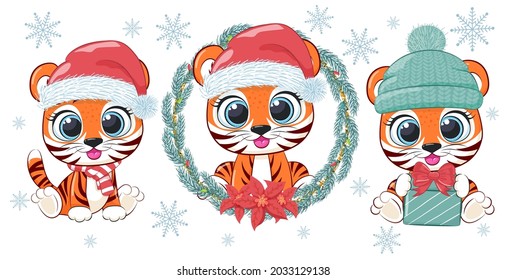 A set of three cute and sweet tiger cubs for New Year and Christmas. Vector illustration of a cartoon.