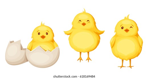 Set of three cute yellow Easter chickens isolated on a white background.