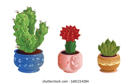 Set of three decorative cactuses in pots with spines and blooming flowers. Vector set illustration in flat cartoon style