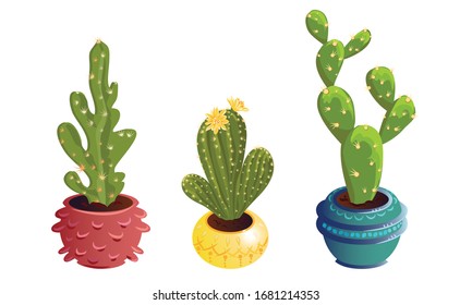 Set of three decorative cactuses in pots with spines and blooming flowers. Vector set illustration in flat cartoon style