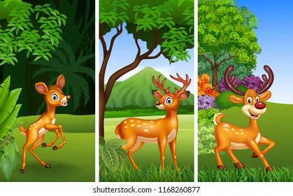 Set of three deer animals with nature background