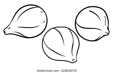Conjunto de tres deliciosos higos en contornos a color, aislados sobre fondo blanco.