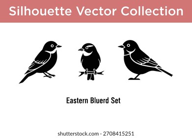 A set of three detailed Eastern Bluebird silhouettes, perfect for nature and wildlife vector graphics.