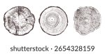 Set of three detailed tree ring patterns with brown wood grain texture for nature-inspired design, eco-friendly art, and rustic decor projects