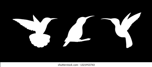 Set of three detailed white hummingbird silhouettes isolated on black. Wall painting elements sticker template background