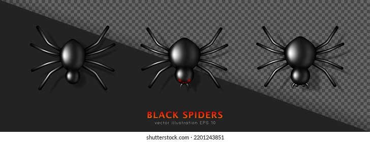 Set of three different 3D black glossy venomous spiders with shadow. Carnivorous creepy animal isolated on black and transparent background. Shiny Halloween character for decoration. Horror concept
