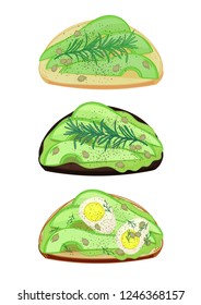 Set of three different avocado sandwiches. Avocado on the white bread, guacamole toast on the brown bread and avocado with eggs on the roasted bread. Isolated vector illustration