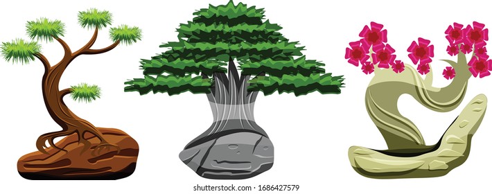 Set of three different bonsai trees isolated on white background 