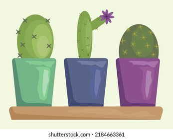 a set of three different cacti in colorful pots on a shelf