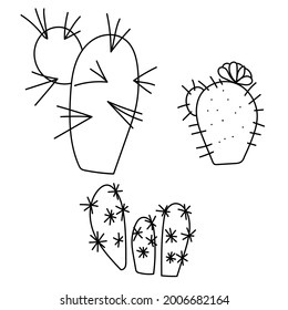 Set of three different contour cactus, prickly desert succulents for design vector illustration