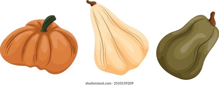 set of three different pumpkins of different sizes and different colors, vector	