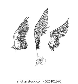 Set Of Three Different Wings / Chicken Wing / Collection Of Elements / Feather Angel Wings / It Can Be Used As An Idea For A Tattoo.