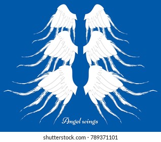 Set Of Three Different Wings. Collection Of Elements. Feather Angel Wings. 