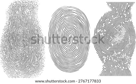 A set of three distinct black ink fingerprint patterns isolated on a white background representing biometric identification, digital security, forensic investigation, and unique individual identity verification concepts.