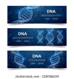 Set of three DNA spiral horizontal banners. Horizontal illustration for homepage design. Genetic helix low poly symbols with connected dots